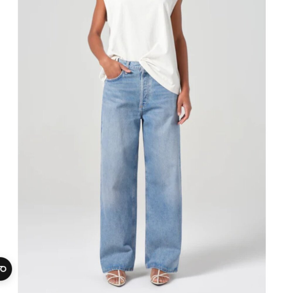 AGOLDE Low Slung Baggy Jeans in Libertine Size 28